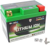 Skyrich Batterie Lithium-Ion LIB5L sans entretien