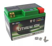Skyrich Batterie Lithium-Ion LIB5L sans entretien