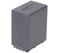 Batterie NP-FV100 pour caméscope Sony