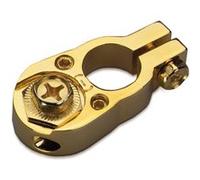 Bornes polaires de batterie Sinuslive BK 1- (L x l) 55 x 30 mm 1 pc(s)