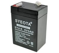Batterie Plomb-Acide AGM Rechargeable 6V 4Ah SY4-6 sans Entretien pour Alarmes Balances et Jouets Électriques