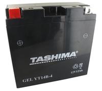 Batterie plomb étanche TASHIMA YT14B4 12V AGM 12A Greenstar