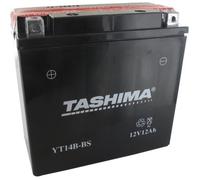 Batterie plomb étanche TASHIMA YT14BBS 12V AGM 12A Greenstar