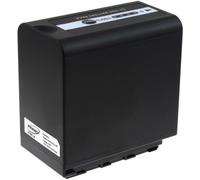 Batterie pour Panasonic VW-VBD58