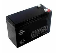 Batterie pour Système d'Alimentation Sans Interruption Salicru 013BS000001 12