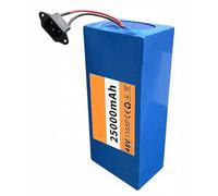 Batterie pour Vélo Électrique 48V 25Ah 13S5P E-Bike Batteria Batterie Haute Puissance Con Caricabatteria E BMS per 250W 500W 800W 1000W 1200W Motore 48V 25Ah,XT60+DC