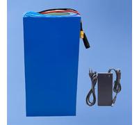 Batterie pour Vélo Électrique, Pack Batterie Lithium-ION 48 V 38 Ah pour Vélo Électrique Et Scooter, avec Protection BMS Et Chargeur. T