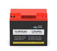 Batterie rechargeable 12V 24Ah LiFePO4 pour stockage solaire - 12.8V 24Ah cycle profond avec chargeur 14.6V 4A LFP1224