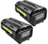 batterie rechargeable 40V Li-Ion, capacité 6000mAh, indicateur de charge LED, 2PACK 60Ah