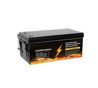 Batterie Rechargeable LiFePO4 12 V 100 Ah 200 Ah 300 Ah avec système BMS Intelligent for Camping-Car et Camping(12V 200Ah)