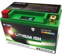 Batterie SKYRICH Lithium-Ion - LTX9-BS