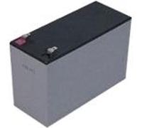Batterie spéciale pour UPS 12V 07Ah (19.49.1207)