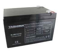 Batterie TASHIMA 12V, 12A adaptable pour AL-KO