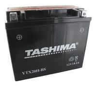 Batterie Tashima YTX20H-BS 12V 18Ah (livrée avec acide separé) Greenstar