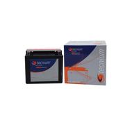 Batterie Tecnium BTX16-BS 12V 14 Ah 150 X 87 X 161 Sans Maintenance
