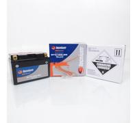 Batterie Tecnium Pour Moto Honda 1000 Vtr F Firestorm 2001 À 2006 Ytz12s-Bs / 12v 11ah Neuf