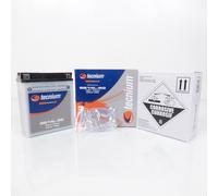 Batterie Tecnium Pour Moto Suzuki 1100 Gsx F 1988 À 1993 Yb14l-B2 / 12v 14ah Neuf