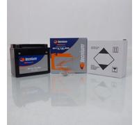 Batterie Tecnium Pour Scooter Daelim 125 Sq S2 Fi Evolution 2007 À 2014 Ytx12-Bs / 12v 10ah Neuf