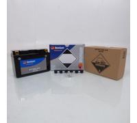 Batterie Tecnium Pour Scooter Yamaha 250 Yp Majesty Dx 1998-1999 Yt9b-Bs / 12v 8ah Neuf