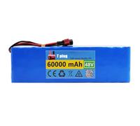 Batterie Trottinette électrique 48V 60Ah pour Scooter Vélo électrique 48V, Protection BMS 30A pour Kit de Conversion 200W 500W 750W 1000W et avec Chargeur 54.6V 2A T Plug,48V 60Ah