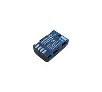 Batterie type PANASONIC DMW-BLF19E