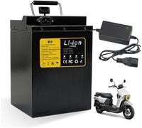 Batterie vélo électrique 48 V 15 Ah 20 Ah 25 Ah Batterie lithium 48 volts, BMS intégré et chargeur 2 A pour cyclomoteur, tricycle 250 W 500 W 750 W 1000 W 1200 W 48 V 15 Ah