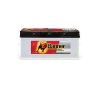 Banner Power Bull Batterie P10040-12V - 100AH