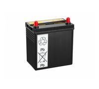 YUASA HJ-S34B20R Batterie de Démarrage 12V 35Ah 272A EN pour TOYOTA PRIUS (ZVW3)