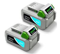 Batteries de Remplacement 5 Ah pour Outils LUX et WORKPRO. Compatibles avec Les Nouveaux Outils sans Fil 20 V de WORKPRO et Toutes Les Machines 20 V de LUX Tools et PowerSystems. Lot de 2.
