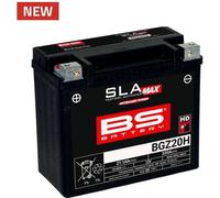 BATTERY SLA Batterie sans entretien activée en usine - BGZ20H