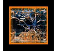 Batu - Question Mark LP [Vinyl]
