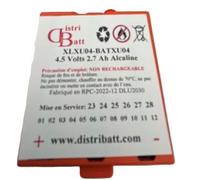 BATXU04 - Pile Alarme Compatible RXU04X pour DAITEM Hager LOGISTY ATRAL - 4.5V 2.7Ah Produit OEM