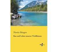 Bau Und Leben Unserer Waldbäume