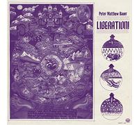 PETER MATTHEW BAUER - LIBERATION VINYL LP NEUF