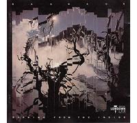 Bauhaus - Burning from the Inside