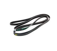 Bauknecht 481235818186 C00313102 Sèche-linge Accessoires/connecteur Sets/sèche linge Courroie d'entraînement 1965H6