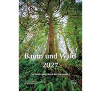 Baum und Wald 2027: Ein Spaziergang durch die Jahreszeiten