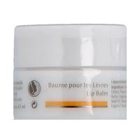 Baume à lèvres Dr. Hauschka Face Care 4,5 ml