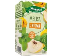 Baume à thé au coing, 20 sachets