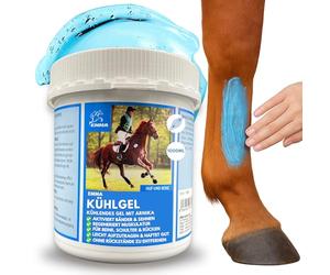 Baume de cheval rafraîchissant 1000ml Gel à l'arnica Gel extra fort I Horse Balm Tendons, ligaments & muscles I Pommade pour chevaux à l'arnica Crème Gel de massage pour les muscles pour cheval chien