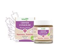 Baume des Lèvres - Herbalgem - Baume Intense Grande Consoude - 30 ml - Réparateur - Protecteur
