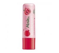 Baume Levres Lissant Bio