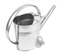 BAUSTER Arrosoir en zinc 8 l - Arrosoir en métal galvanisé avec douchette d'arrosage, arrosoir de jardin robuste en acier pour l'intérieur et l'extérieur, idéal pour arroser les fleurs et l'arrosage