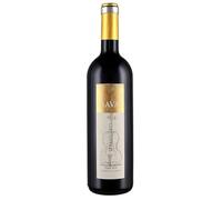 Bava - Barbera d'Asti Superiore DOCG "Stradivario" La Pieve di Cocconato 2013 0,75 lt.