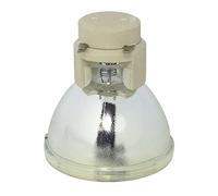BAVALU Lampe De Projecteur De Remplacement RLC-114 Ampoule De Projecteurs ViewSonic PG703X PX702HD avec Accessoires De Boîtier Nu(RLC-114-CB)