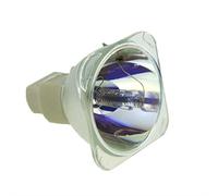 BAVALU Lampe De Projecteur RLC-046 De - ViewSonic PJD6210-WH PJD6210 Ampoule Nue avec Boîtier RLC046 Accessoires De Remplacement(RLC-046-HB)