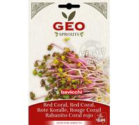 Bavicchi Graines de Pousses Germées de Radis "Rouge Corail" Bio - 20 g
