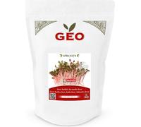 Bavicchi Graines Germées Bio "China Rose" - 500 g