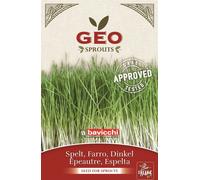 Bavicchi Graines Germées Bio "Épeautre" - 70 g