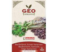 Bavicchi Graines Germées Bio "Sarrasin" - 90 g